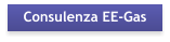 Consulenza EE-Gas