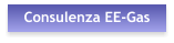 Consulenza EE-Gas