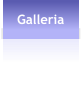 Galleria