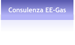 Consulenza EE-Gas